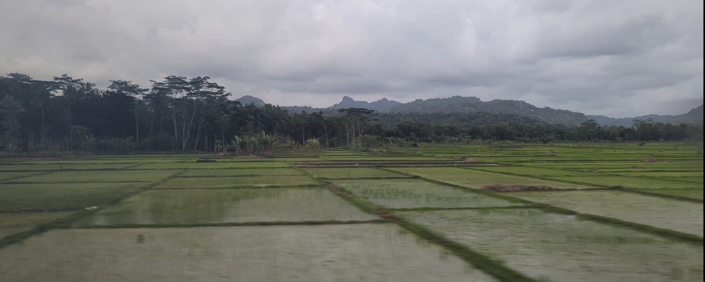 Argo Semeru Train Guide