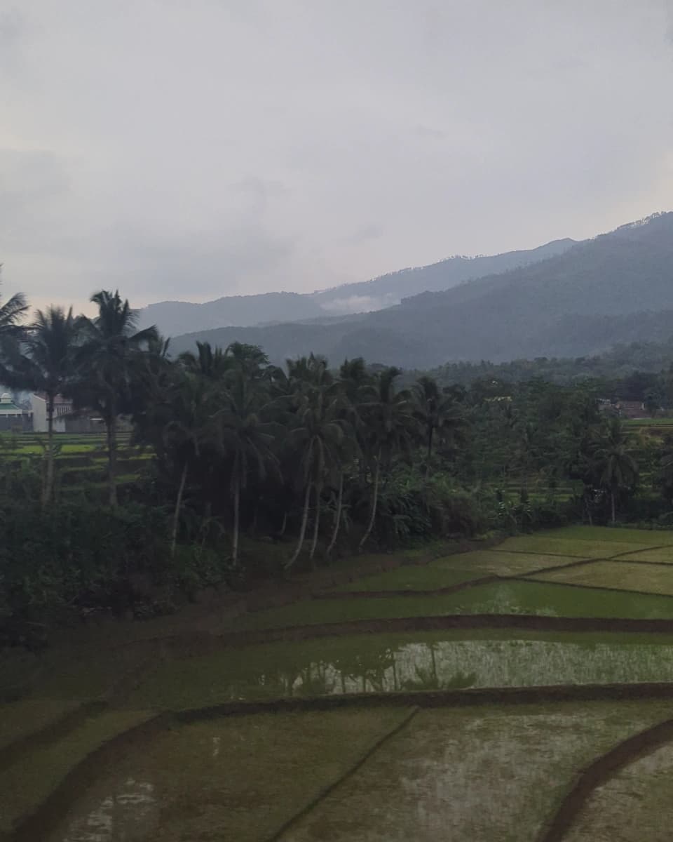 Fields near Patuguran