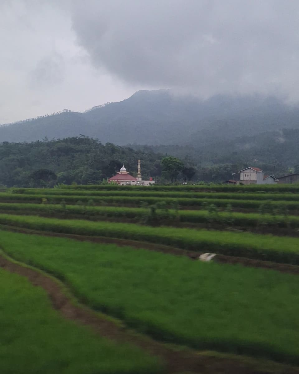 Fields near Patuguran