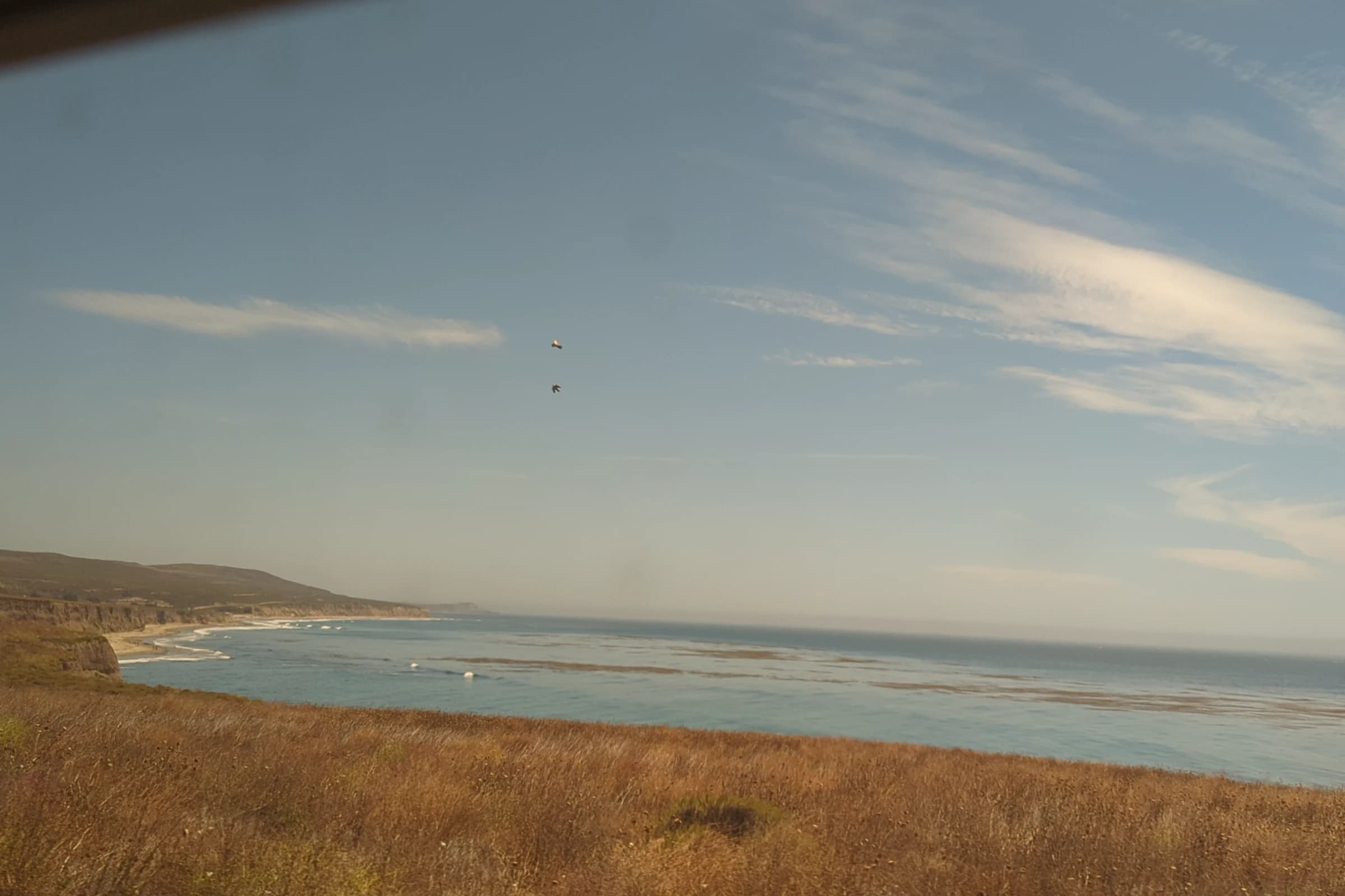 Pacific Ocean views with grassland in the foreground as seen from the Coast Starlight