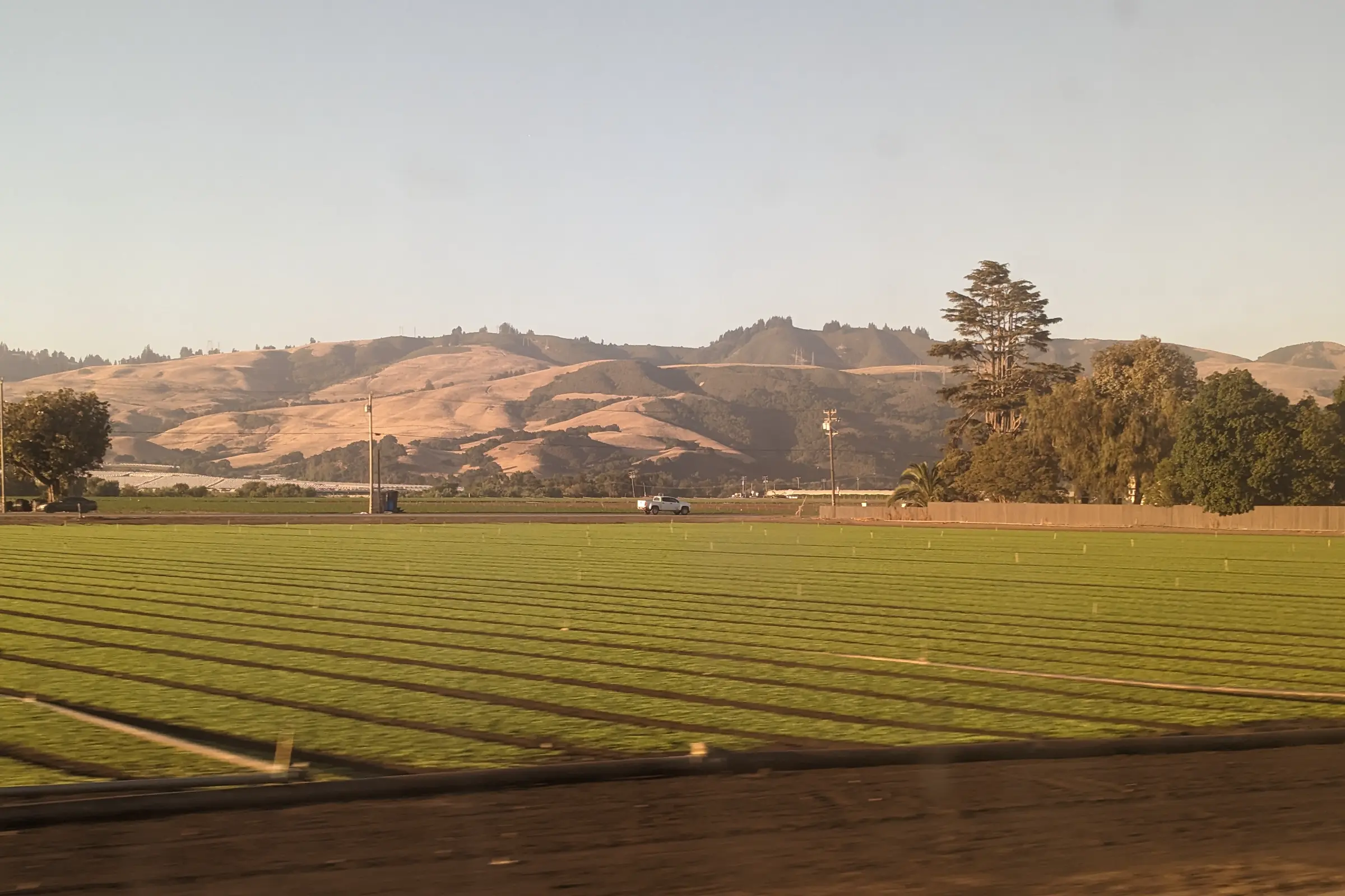 Farming fields from the Amtrak Coast Starlight
